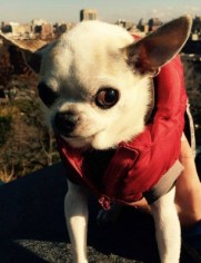 12303919_10154318814746416_2795602669443676030_o